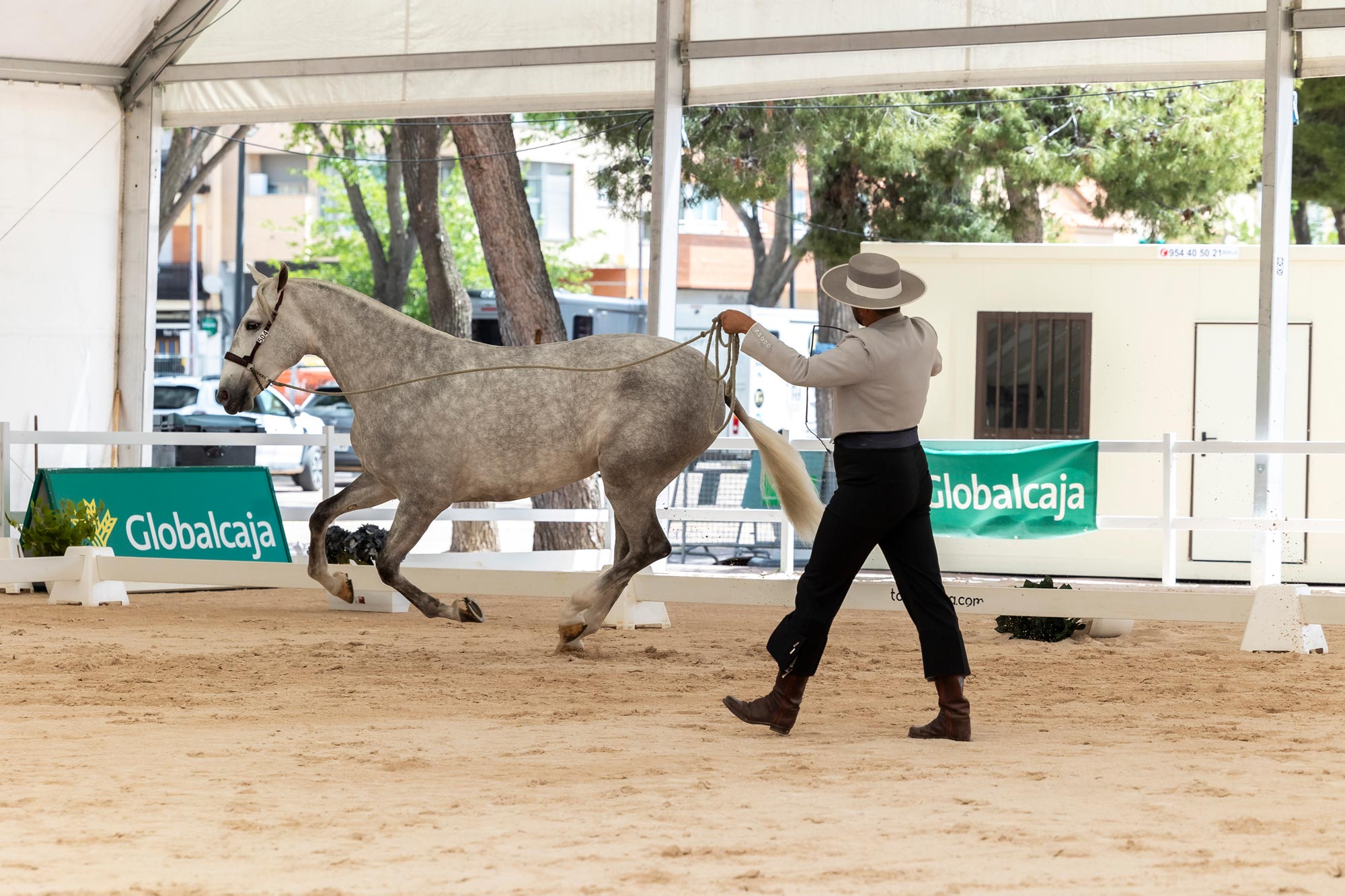 Expovicaman, feria agrícola y ganadera de Castilla-La Mancha que cuenta con el patrocinio principal de Globalcaja. 