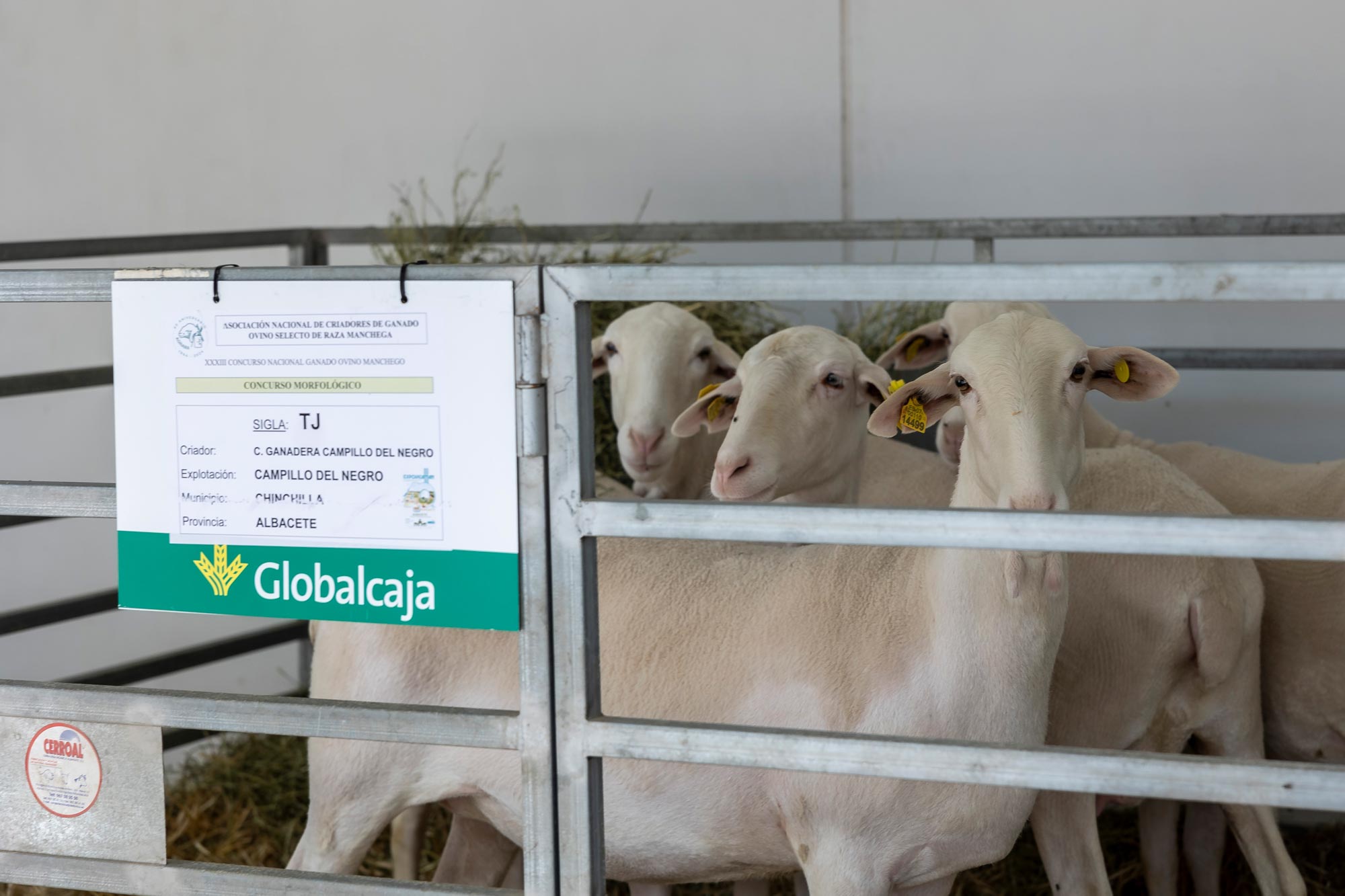 Expovicaman, feria agrícola y ganadera de Castilla-La Mancha, patrocinada por Globalcaja.